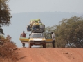 Guinea (13)