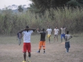 Guinea (41)