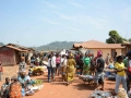Guinea (52)