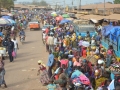 Guinea (65)
