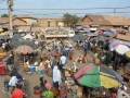 Guinea (68)