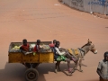 Guinea (89)