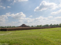 DSC1166