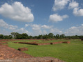 DSC1168
