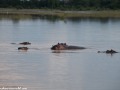 South-Luangwa-4-2-41-15