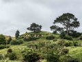 Hobbiton-12