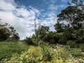 Hobbiton-19