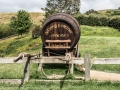 Hobbiton-28