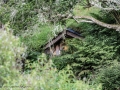 Hobbiton-3