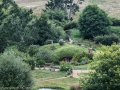 Hobbiton-5