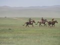 Horse-Race-12