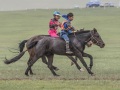 Horse-Race-13
