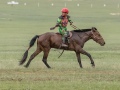 Horse-Race-15
