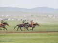 Horse-Race-18