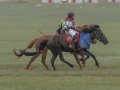 Horse-Race-20