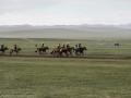 Horse-Race-23