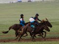 Horse-Race-27