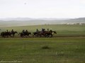 Horse-Race-29