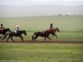 Horse-Race-31