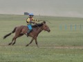 Horse-Race-4