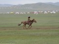 Horse-Race-6