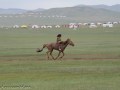 Horse-Race-6