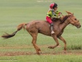 Horse-Race-7