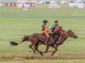 Horse-Race-8
