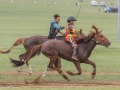 Horse-Race-9