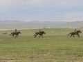 Horse-Race