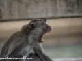 River Safari (47 of 72)