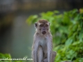 River Safari (53 of 72)