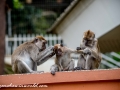 River Safari (67 of 72)
