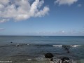 DSC6544
