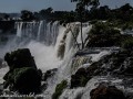 DSC7406