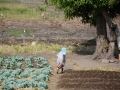 Ivory Coast-20