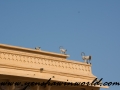 jaipur (16 of 103)