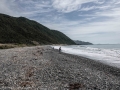 kaikoura-1