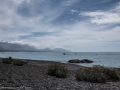 kaikoura-4