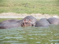 Kazinga Channel-36