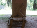 Lake Tana-48