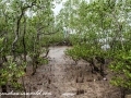 landscape1 (4 of 4)