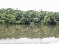 River Safari (2 of 72)