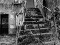 DSC_1396