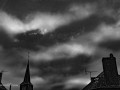 DSC_1447