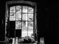 DSC_1465