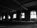 DSC_1481