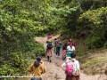 tigers nest1 (5 of 6)