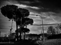 DSC_1179