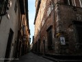 DSC_1201